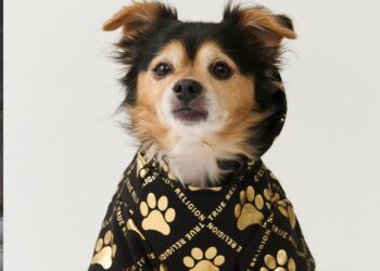 TRUE RELIGION LAUNCHES PET ACCESSORIES THROUGH LICENSING AGREEMENT WITH WIESNER PRODUCTS INC.