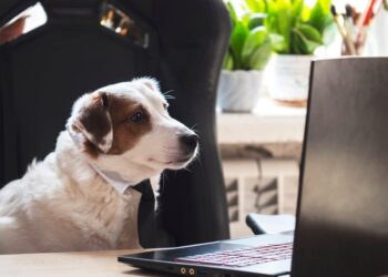 Weekly Roundup: Funny Dog Posts From Last Week (Oct 30)