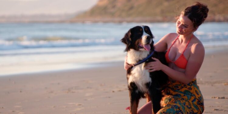 Returning: For the Love of Pets
