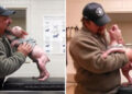 Man Returned To Adopt The Dog He Rescued, And The Pup Couldn’t Be Happier