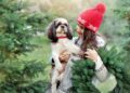 7 Dog Friendly Christmas Tree Farms Across The US