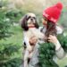 7 Dog Friendly Christmas Tree Farms Across The US