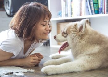 Survey Shows Dog People Love Dogs More Than People