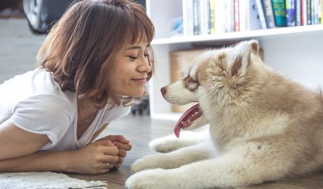 Survey Shows Dog People Love Dogs More Than People