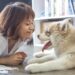 Survey Shows Dog People Love Dogs More Than People