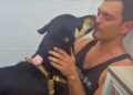 Guy Relies On ‘Faith And Heart’ To Save Dog From The Grimy Streets