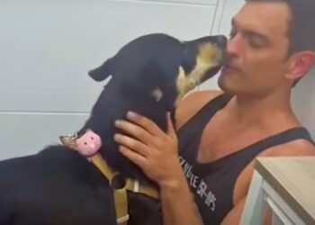 Guy Relies On ‘Faith And Heart’ To Save Dog From The Grimy Streets