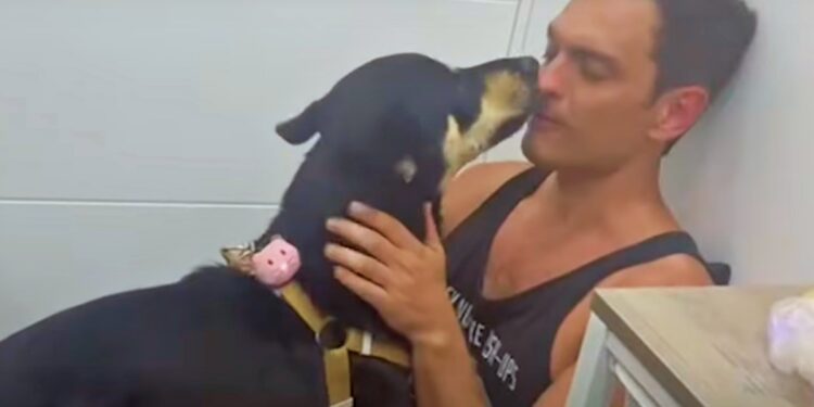 Guy Relies On ‘Faith And Heart’ To Save Dog From The Grimy Streets