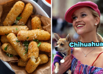 Ever Wondered What Dog Breed You Embody? Then Come On In And Take This Quiz