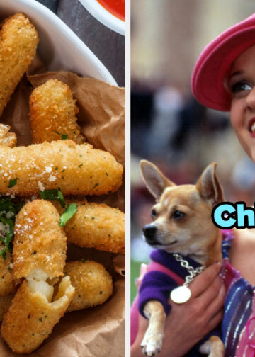 Ever Wondered What Dog Breed You Embody? Then Come On In And Take This Quiz
