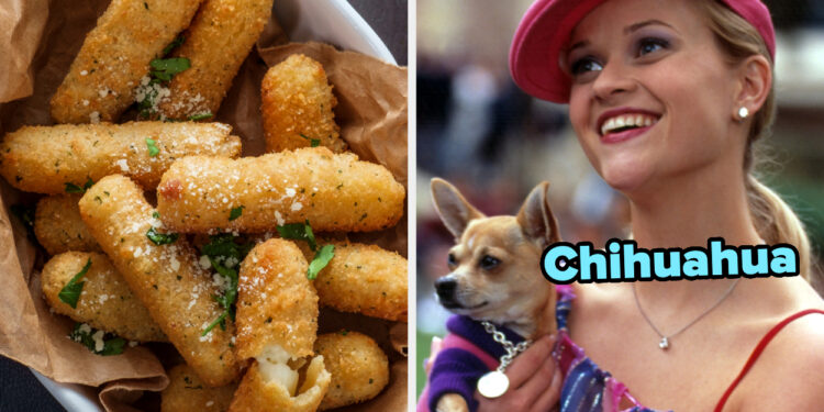 Ever Wondered What Dog Breed You Embody? Then Come On In And Take This Quiz
