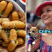 Ever Wondered What Dog Breed You Embody? Then Come On In And Take This Quiz
