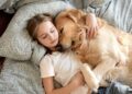 7 Dog Breeds That Are The Perfect Snuggle Buddies On A Cozy Night