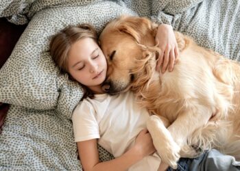 7 Dog Breeds That Are The Perfect Snuggle Buddies On A Cozy Night